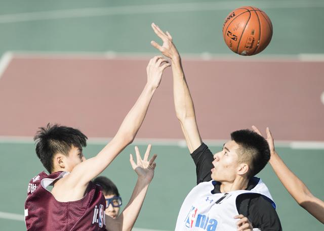 一夜七次狼在线观看